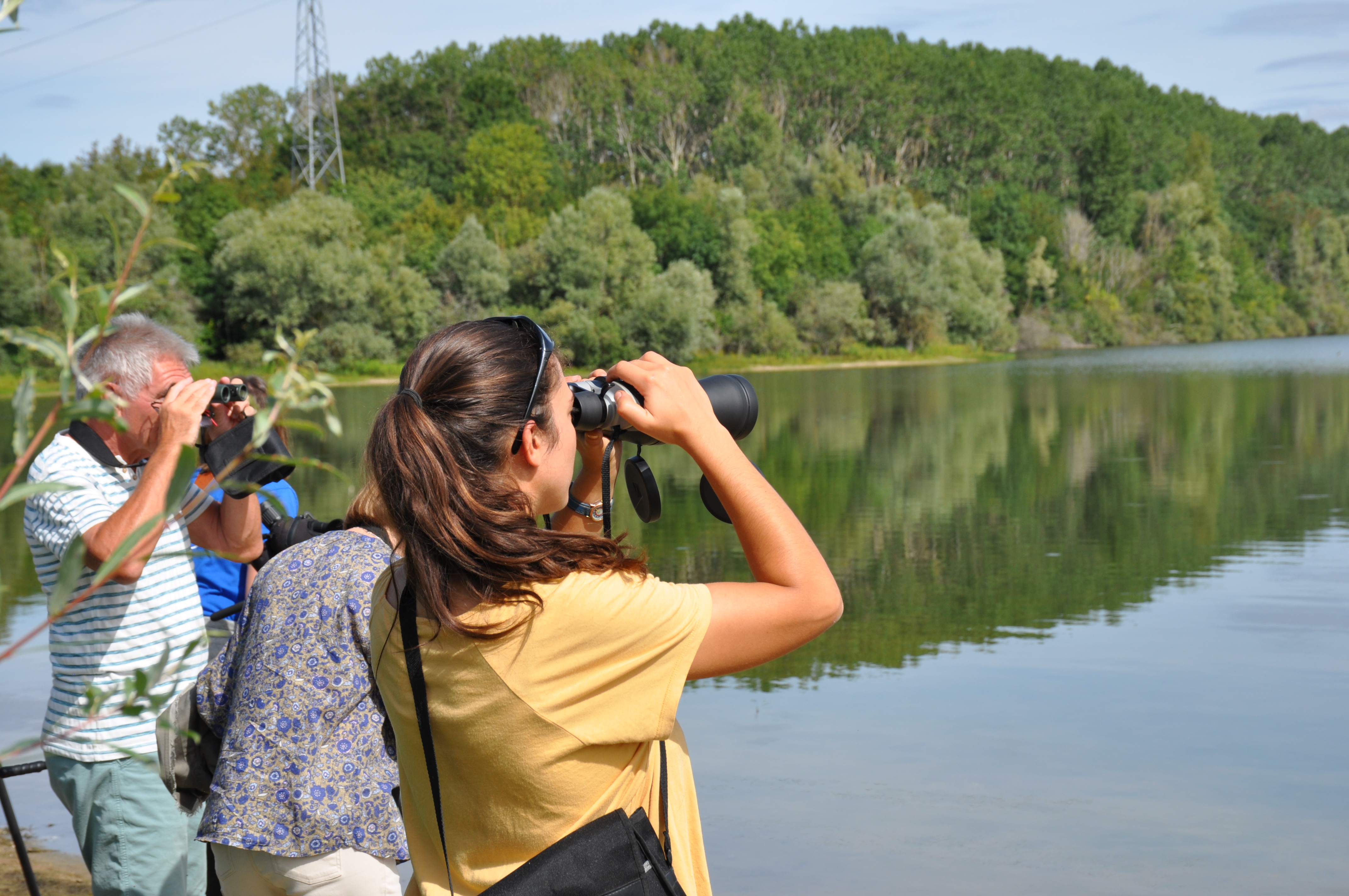 Comptage des oiseaux d'eau hivernants sur les bassins de Saint-Vit et Osselle